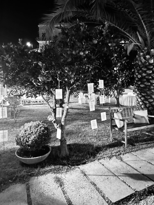 Black and white photo of table seatings hanging from orange trees in the venue grove.