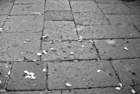 Petals scattered on the floor outside after the civil ceremony.