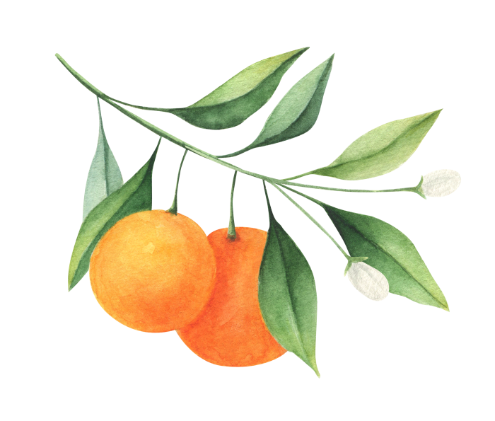 Hanging Oranges.